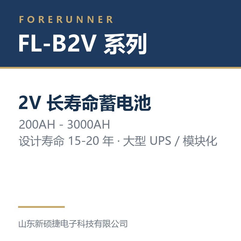 FL-B2V 系列 2V 长寿命蓄电池